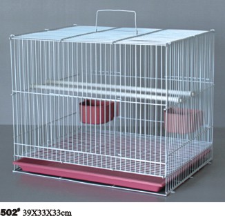 Fish Aquarium